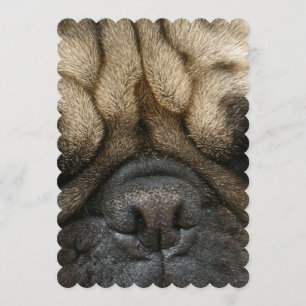 Convite Pug com sono