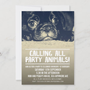Convite Pug Puppy Dog Party Invite [Foto Com Cheio]