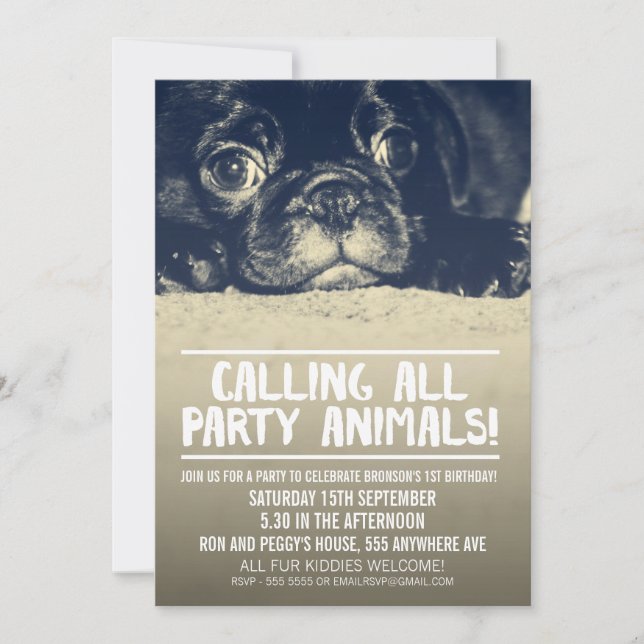 Convite Pug Puppy Dog Party Invite [Foto Com Cheio] (Frente)