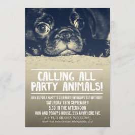 Convite Pug Puppy Dog Party Invite [Foto Com Cheio]