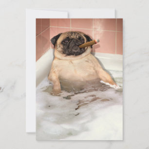 Convite Pug Tomando Banho