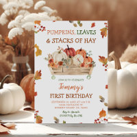 Pumpkin Patch Hays Deixa Aniversário Russo do outo