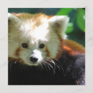 Convite quadrado - personalizado