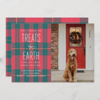 Que Haverá Tratamentos no Feriado de Fotos de Pet 