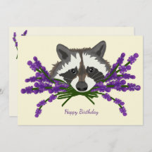 Raccoon com lavanda