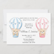 Raio de Teddy Bear Ar Quente - Revolução de Gênero