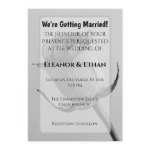 Ramo de Rosa Preta e Branca Minimalista Artística