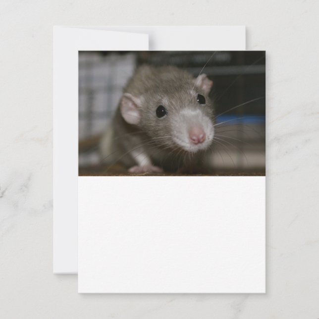 Convite Rato curioso (Frente)