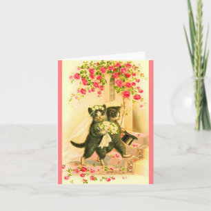Convite recém-casados com gatinho