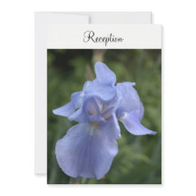 Recepção de Casamento Floral Íris Roxo