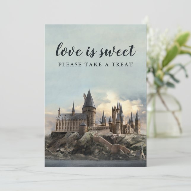 Convite Recepção de Casamento Harry Potter Por Favor, Pegu (Em pé/Frente)