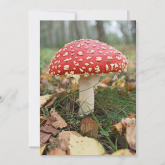 Convite Red Fly Agaric Invitation