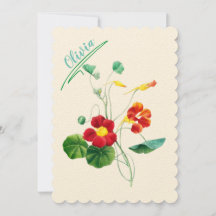 Red Willow II Reverie: Vintage Botanical