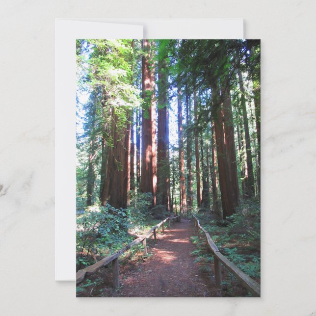 Convite Redwood Trail Norther California (Frente)