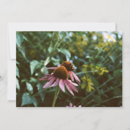 Convite Reimpressão de Foto de Abelha e Coneflower