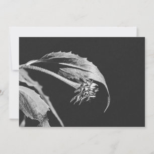 Convite Reimpressão de Foto de Flor Murchando Gótica