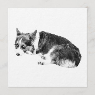 Convite Reúna Corgi, Noite Aconchegante