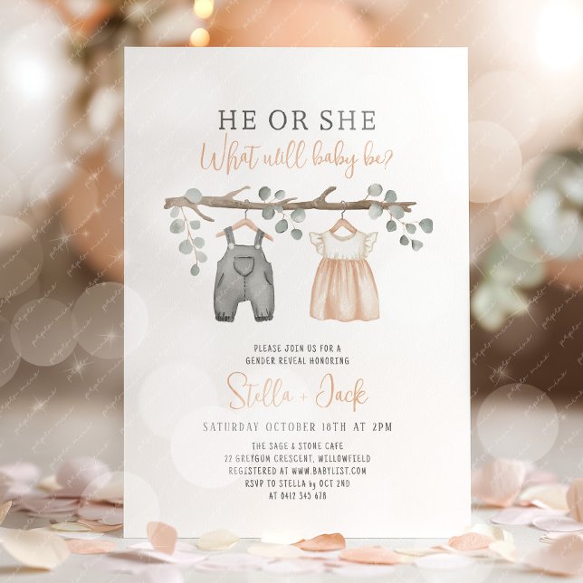 Convite Revelação de Gênero Ele ou Ela Corda de Roupas  (He or She, What will baby be? Gender Reveal Invitation)