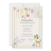 Revelação do Sexo Rosa ou Azul Cachorro & Gato