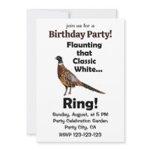 Ring-necked Pheasant Flaunting White Ring Party
