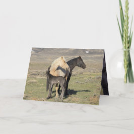 Convite Rocket's Family Greeting Card