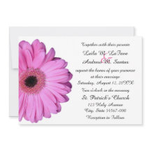 Rosa claro Elegante Gerbera Daisy Wedding