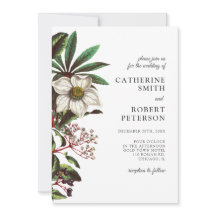 Rosa de Natal Branco da Modern Vintage