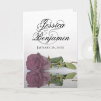 Rosa Mauve Empoeirada Elegante Foto Romântica Casa