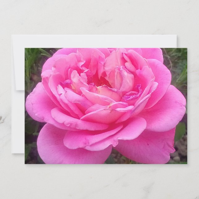 Convite Rosa Rosa Romântica "Leonardo Da Vinci" (Frente)