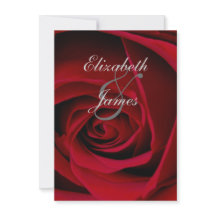 Rosa vermelha elegante