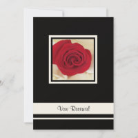 Rosa vermelha em Cream Rosa Petals Renovação de Vo