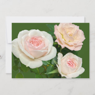 Convite Rosas brancas românticas rosadas