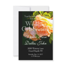 Rosas de Pêssego do País