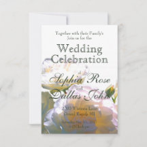 Rosas esbranquiçados de cor laranja esbranquiçada