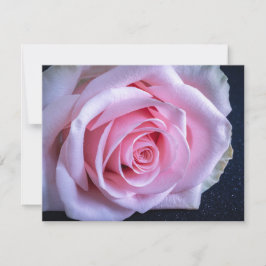 Convite Rosas rosa e verde