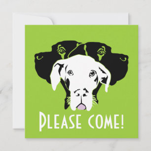 Convite Rosto de Grande Danês Suado   Doggenhaus