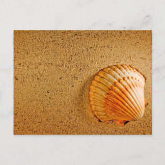 Convite RSVP Tropical de Casamento de Praia