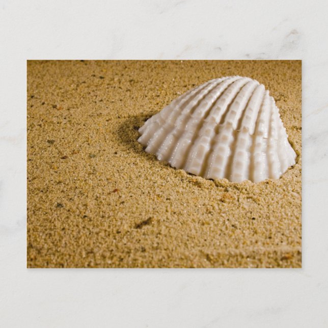 Convite RSVP Tropical de Casamento de Praia (Frente)