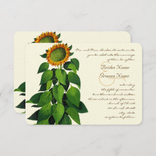 Convite Rustic Romantic Sunflower Weditation