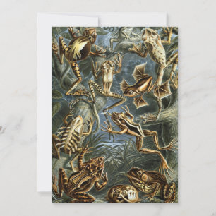 Convite Sapos e rãs antigos Batrachia por Ernst Haeckel