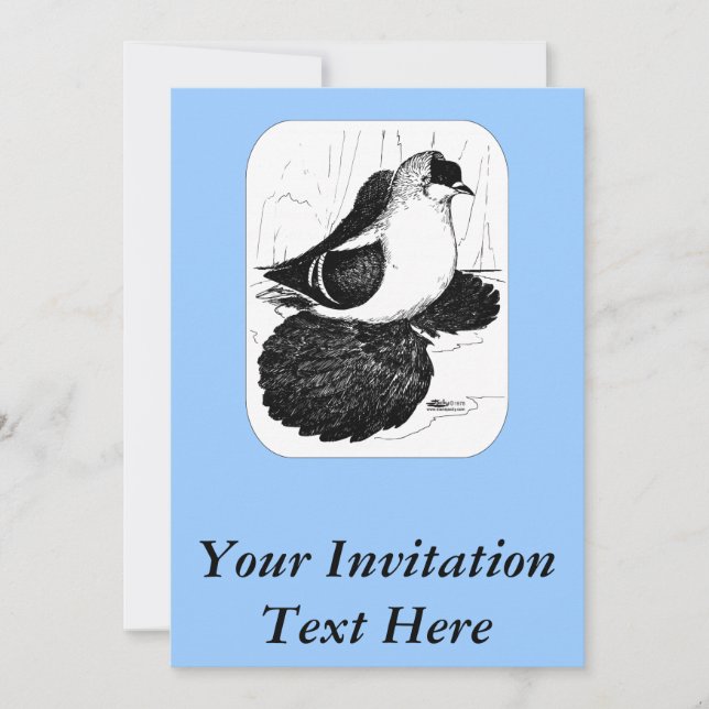 Convite Saxon Swallow Pigeon 1978 (Frente)