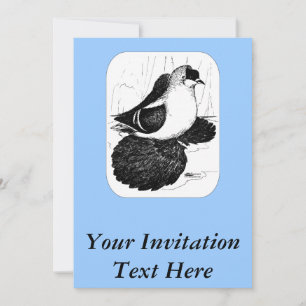 Convite Saxon Swallow Pigeon 1978