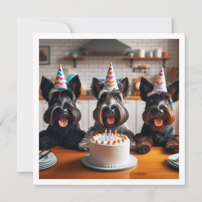 Convite Scottish terrier card, Scottish terrier aniversári (Frente)