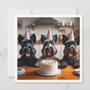 Convite Scottish terrier card, Scottish terrier aniversári