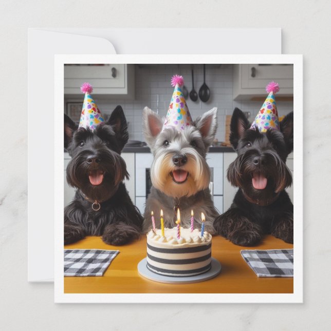 Convite Scottish terrier card, Scottish terrier aniversári (Frente)