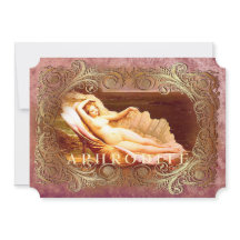 Sea Shell - Ocean Beach Shells