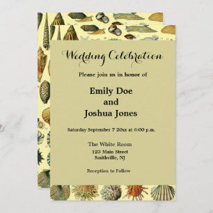 Convite Seashell Shell Mollusk Clam Elegant Clam Art