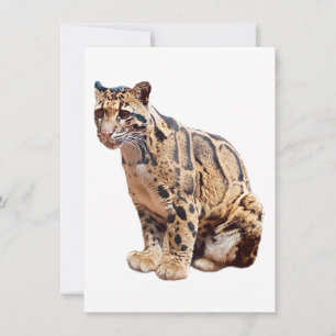 Convite selva de grande gato com fotografia-leopardo nubla