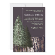 Sequoias e Latidos, Casamento Russo