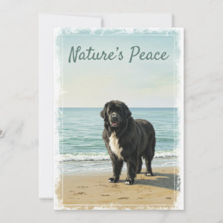 Convite Serenidade à Beira-Mar – Natureza do Cão da Terra
